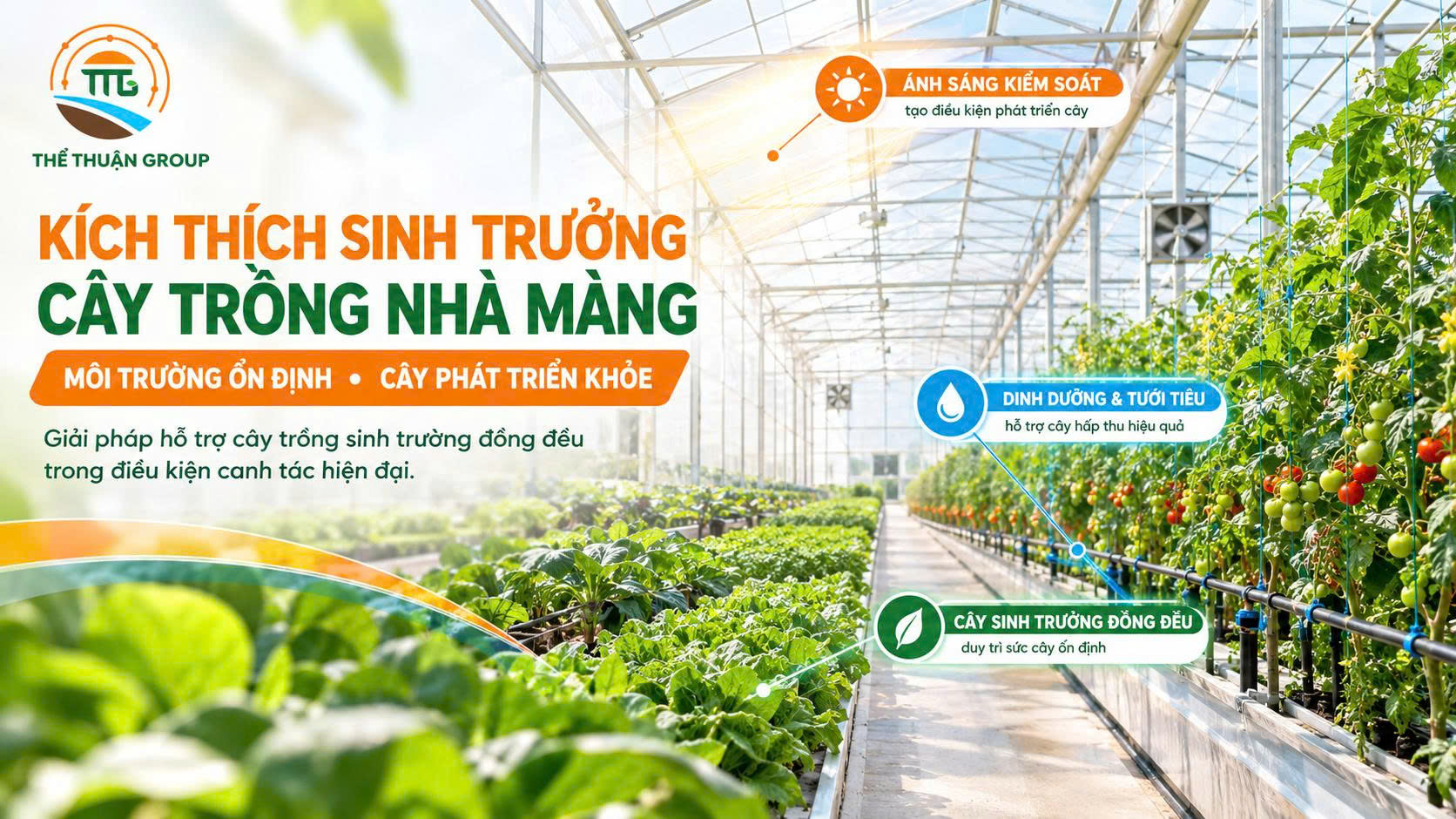 Kích thích sinh trưởng cây trồng nhà màng