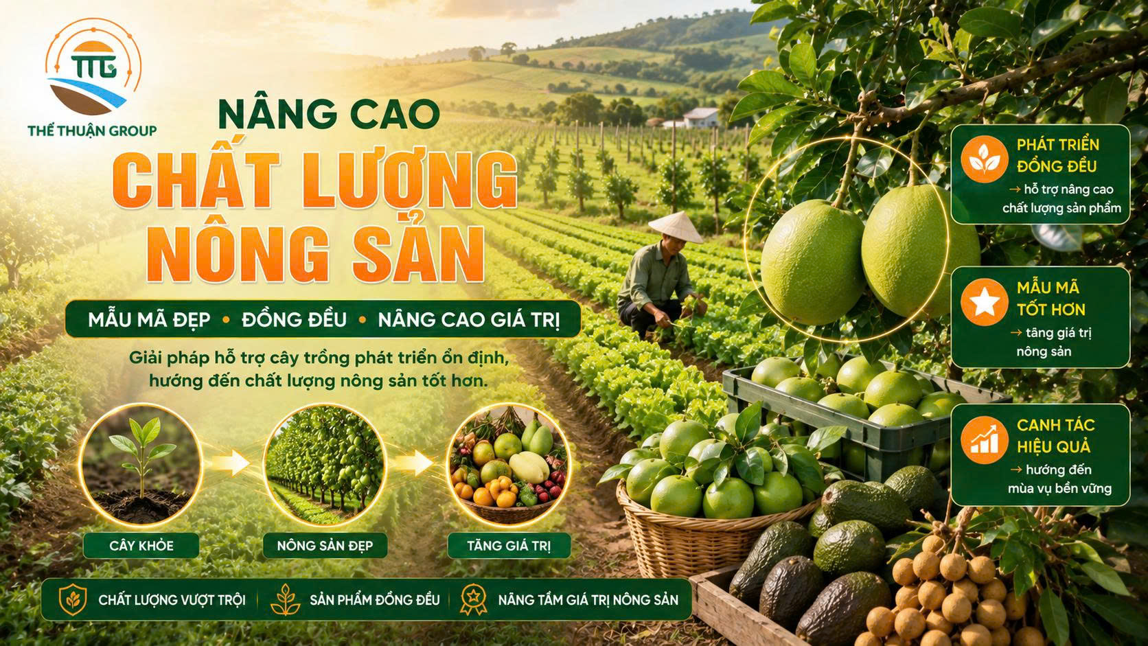 Nâng cao chất lượng nông sản Nâng cao chất lượng nông sản