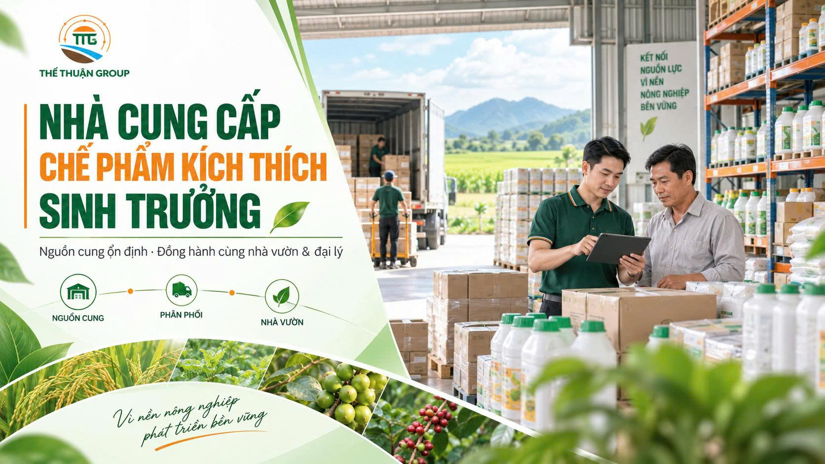 Nhà cung cấp chế phẩm kích thích sinh trưởng Nhà cung cấp chế phẩm kích thích sinh trưởng