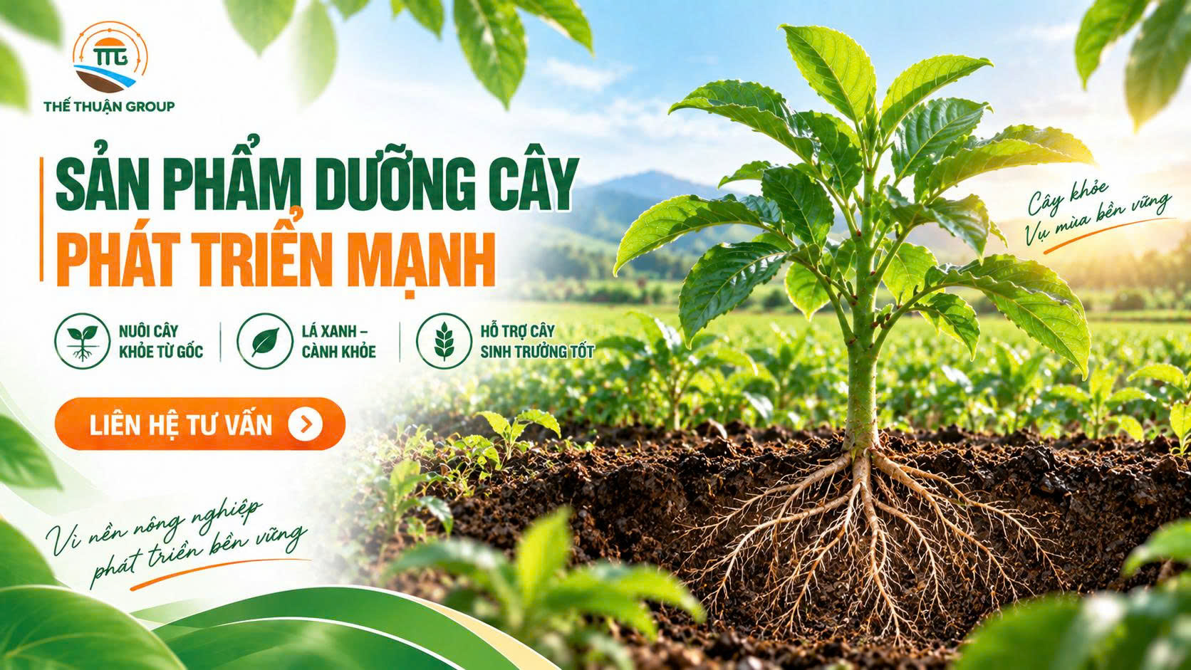 Sản phẩm dưỡng cây phát triển mạnh Sản phẩm dưỡng cây phát triển mạnh