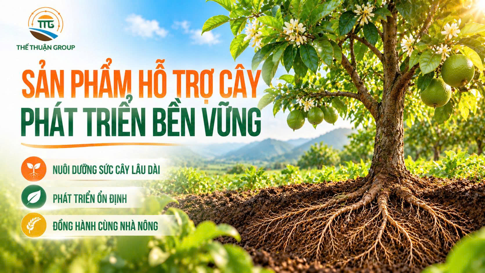 Sản phẩm hỗ trợ cây phát triển bền vững