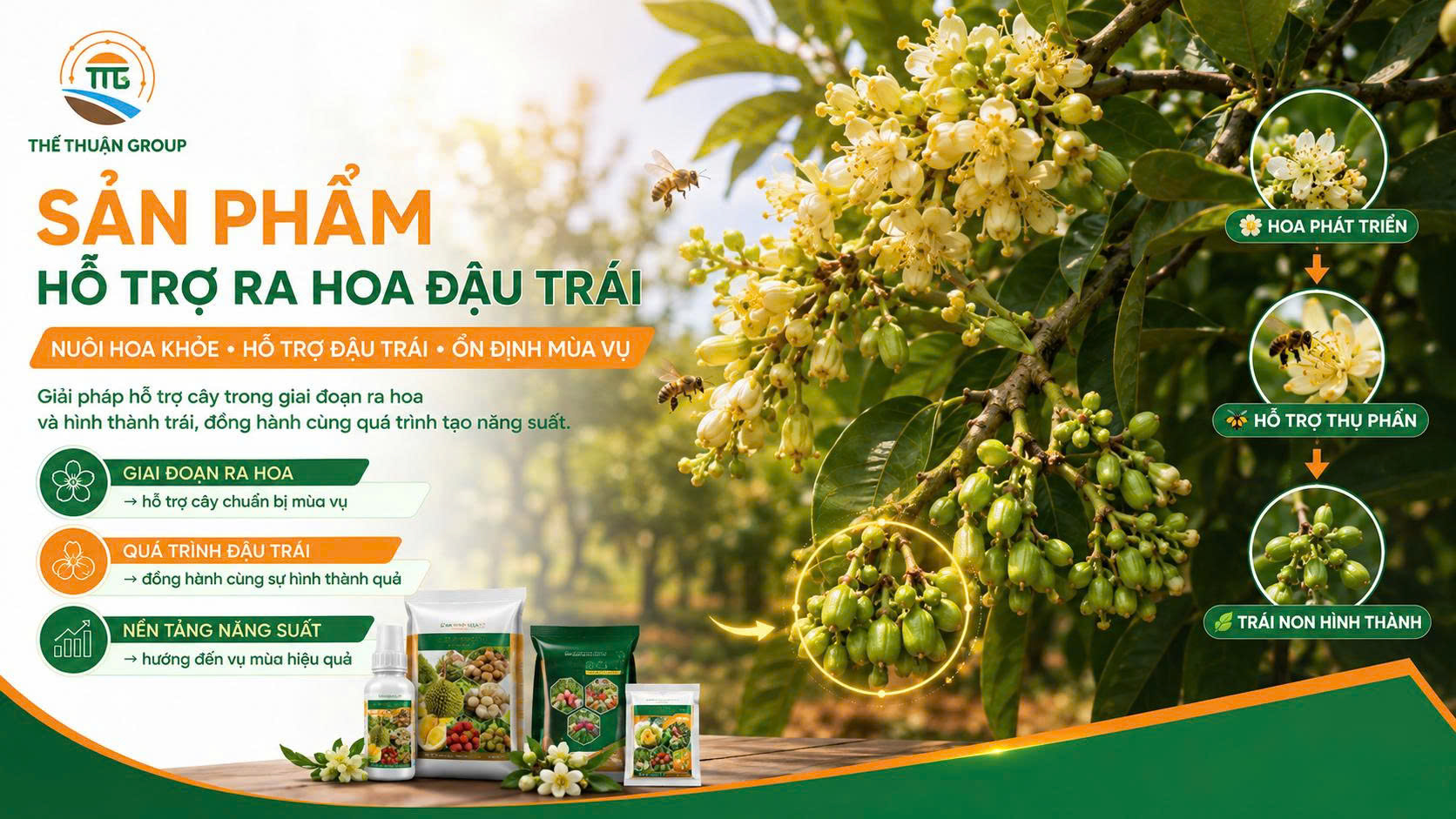Sản phẩm hỗ trợ ra hoa đậu trái Sản phẩm hỗ trợ ra hoa đậu trái