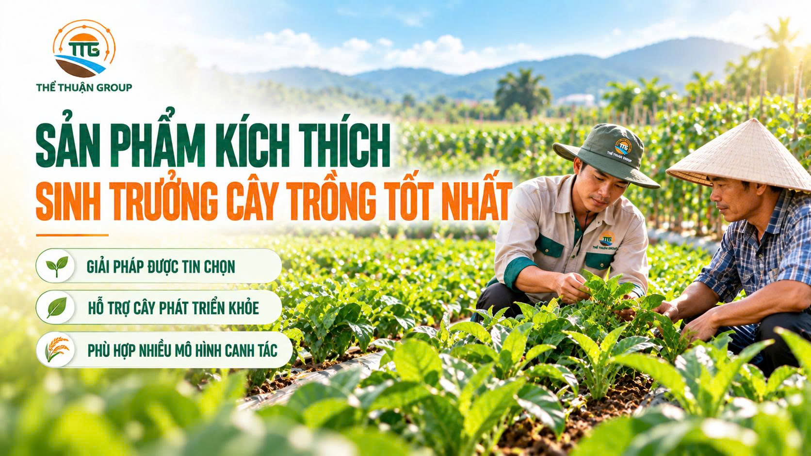 Sản phẩm kích thích sinh trưởng cây trồng tốt nhất
