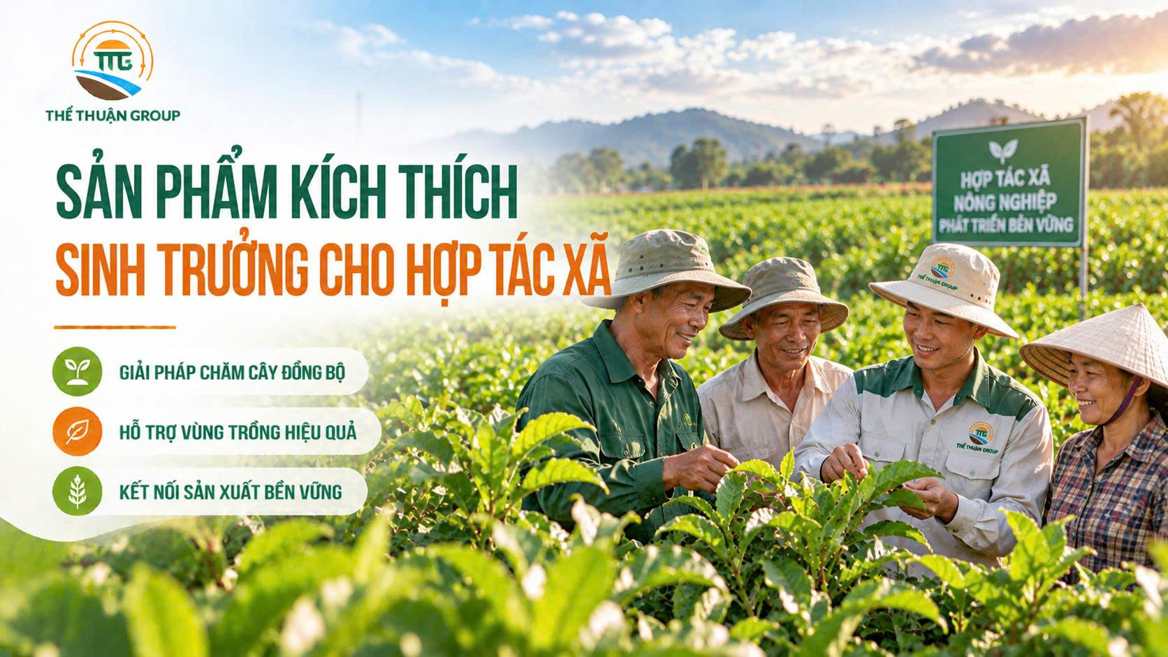 Sản phẩm kích thích sinh trưởng cho hợp tác xã Sản phẩm kích thích sinh trưởng cho hợp tác xã
