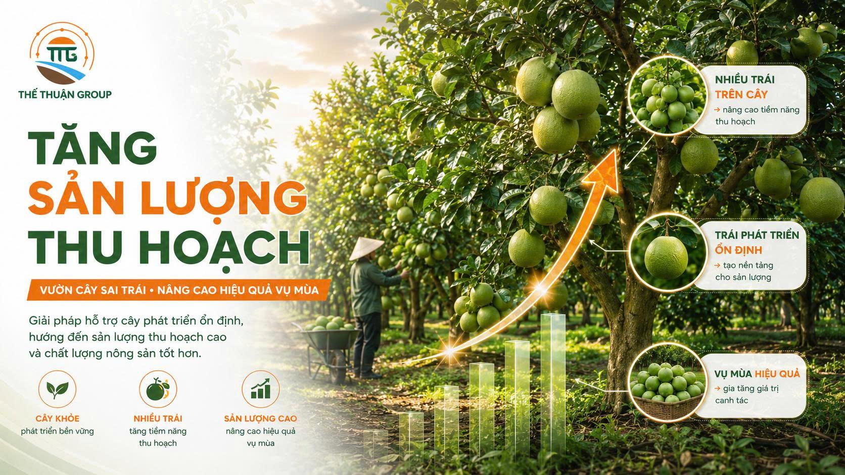 Tăng sản lượng thu hoạch Tăng sản lượng thu hoạch