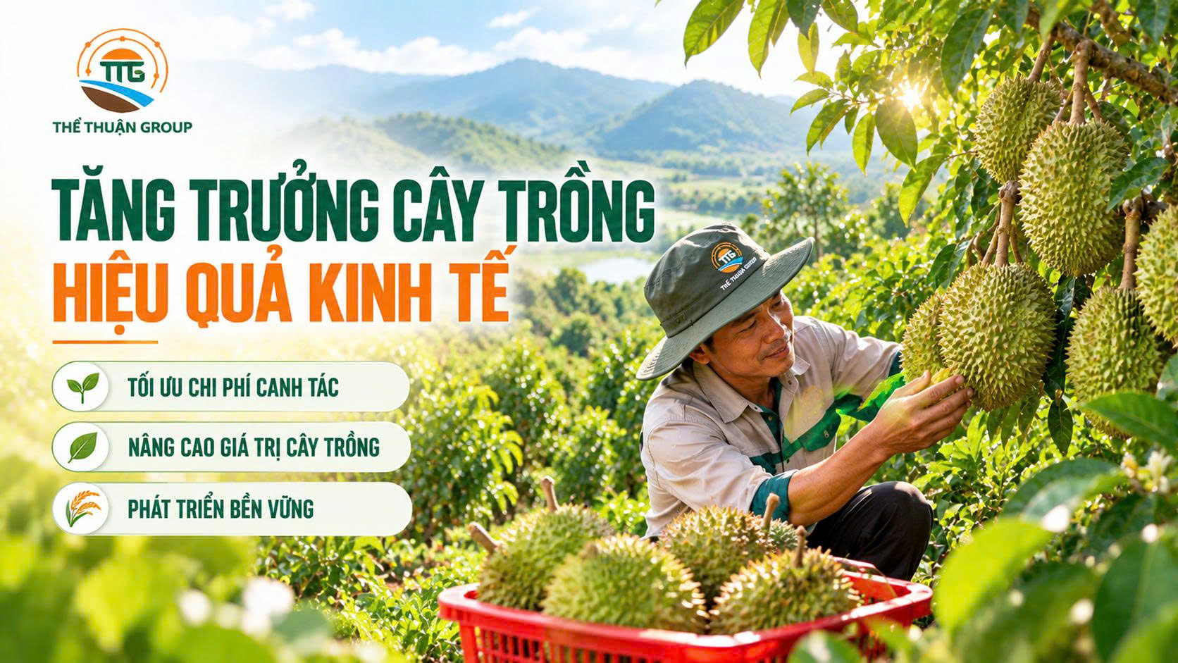 Tăng trưởng cây trồng hiệu quả kinh tế Tăng trưởng cây trồng hiệu quả kinh tế