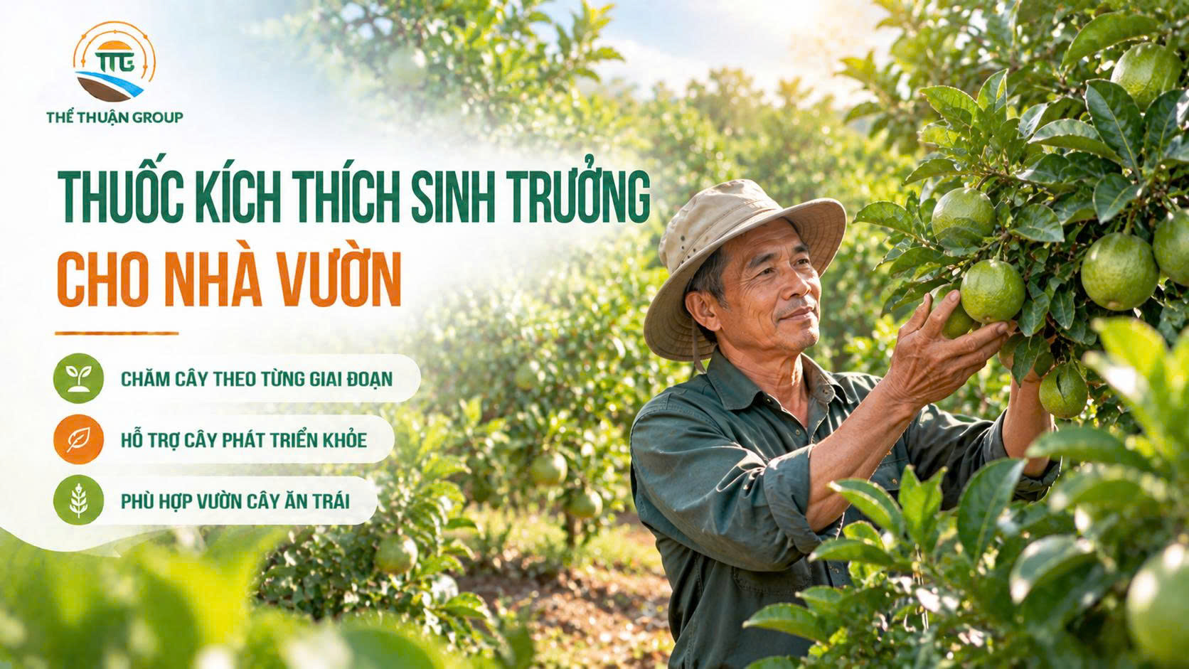 Thuốc kích thích sinh trưởng cho nhà vườn Thuốc kích thích sinh trưởng cho nhà vườn